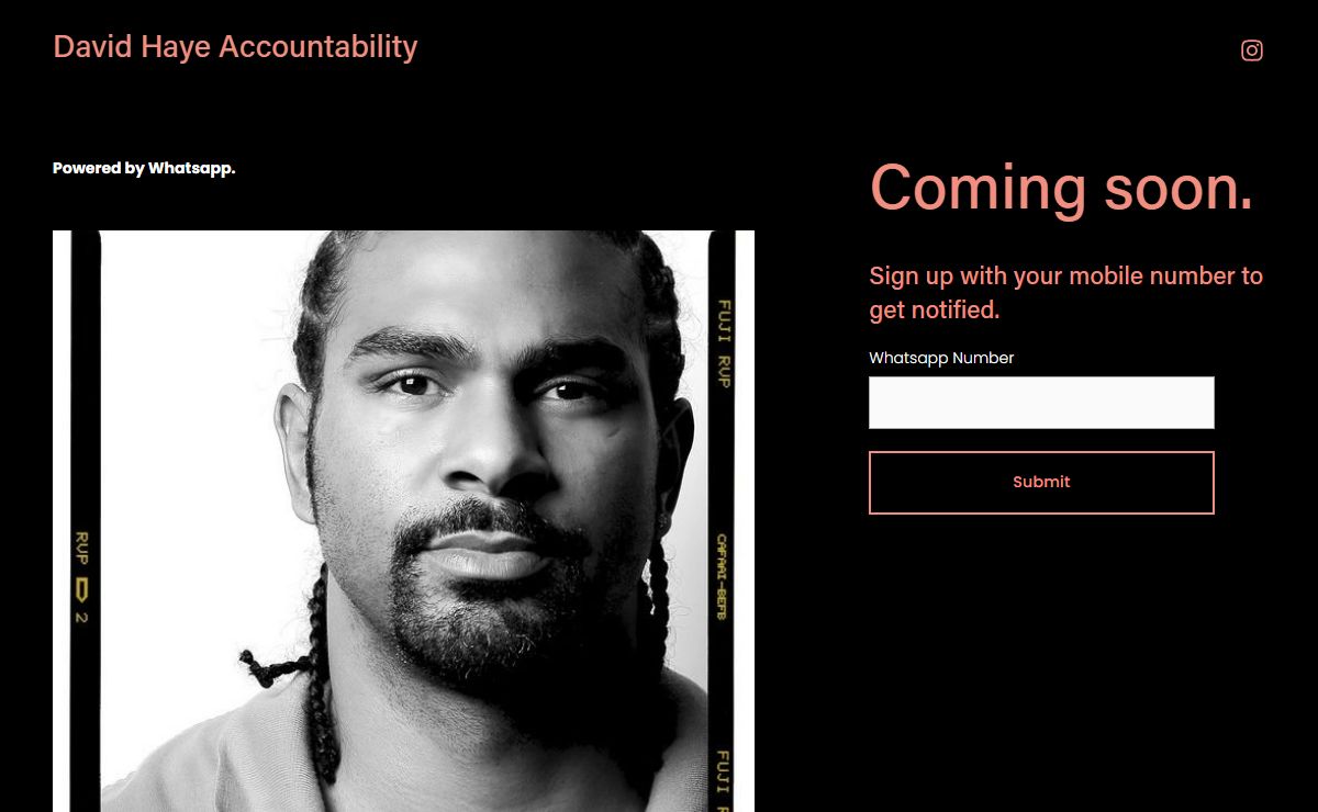 David Haye Accountability