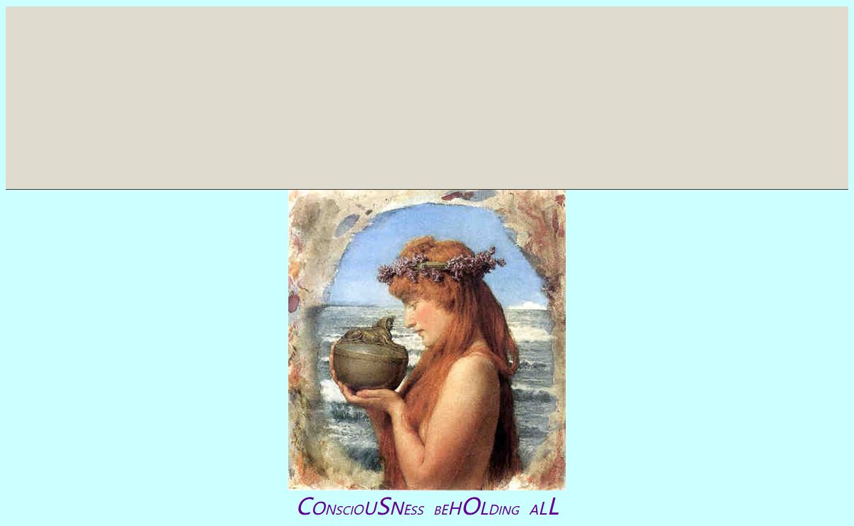 Consciousness Beholding All