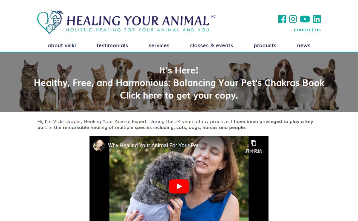 Healing Your Animal Vicki Draper Animal Massage Kirkland Washington