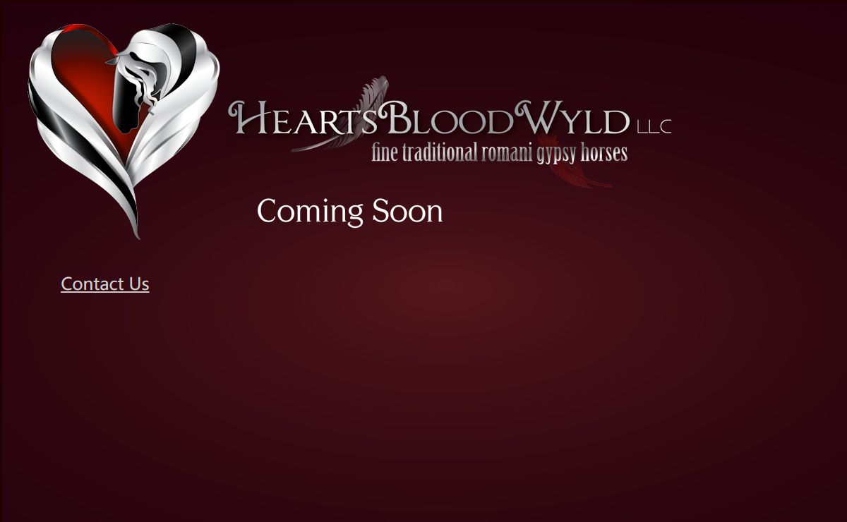HEARTSBLOOD WYLD A FINE TRADITIONAL ROMANI ~ GYPSY HORSE FARM