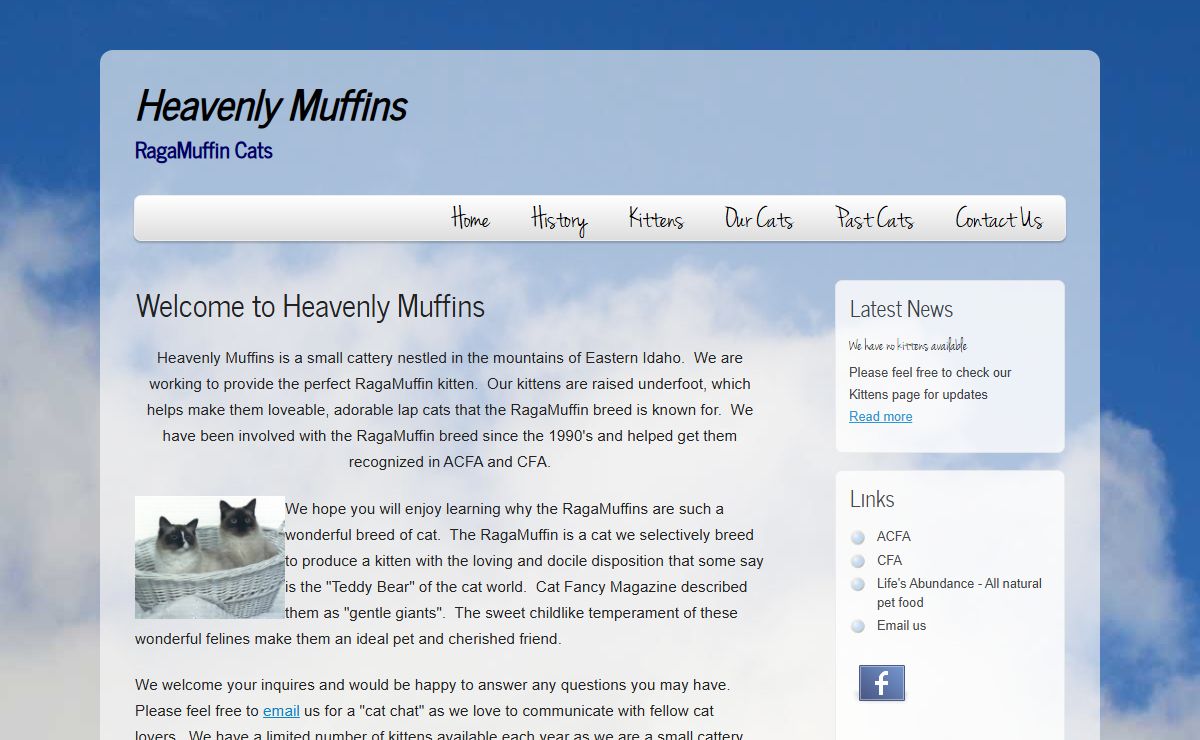 Heavenly Muffins RagaMuffins