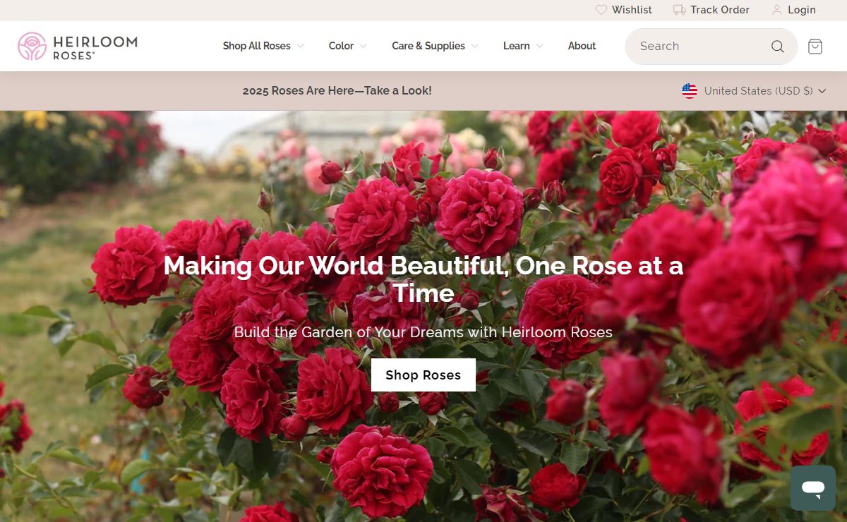 Roses, Rose Bushes, Rose Gardening, Rose Plants | Heirloom Roses