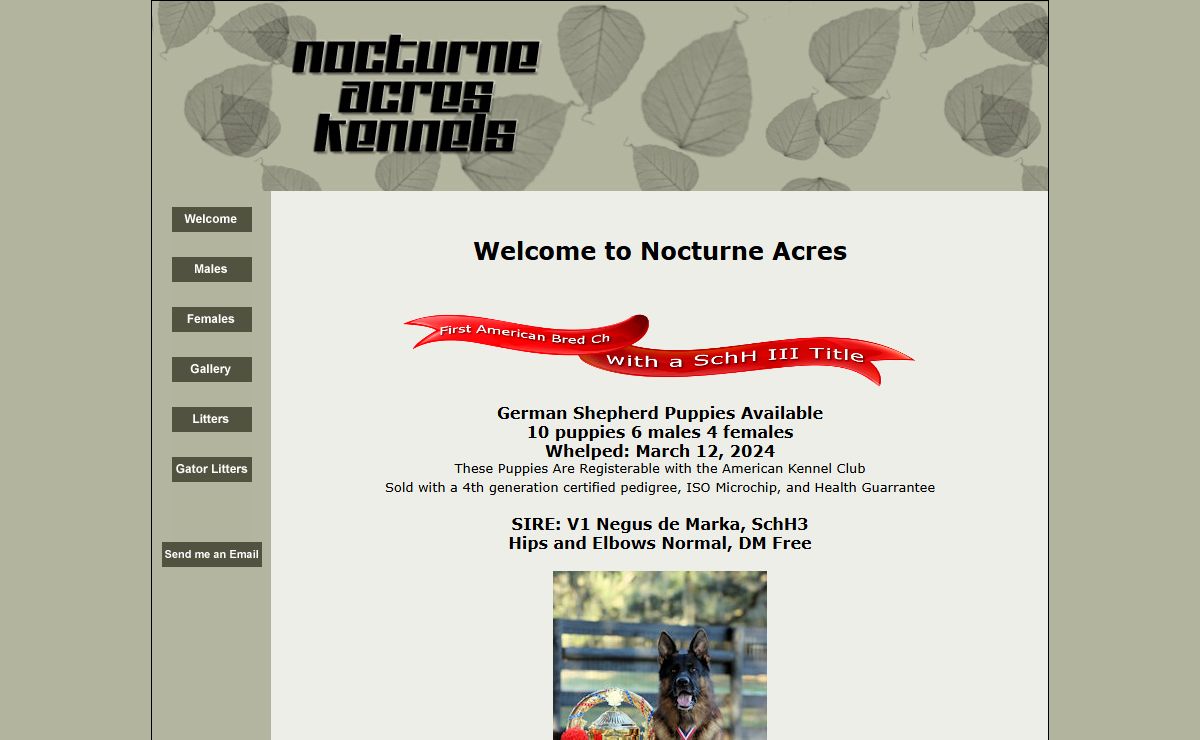 Nocturne Acres Kennels German Shepherd Dogs