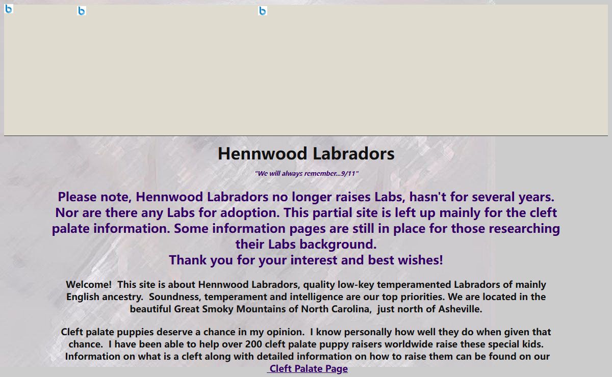Hennwood Labradors