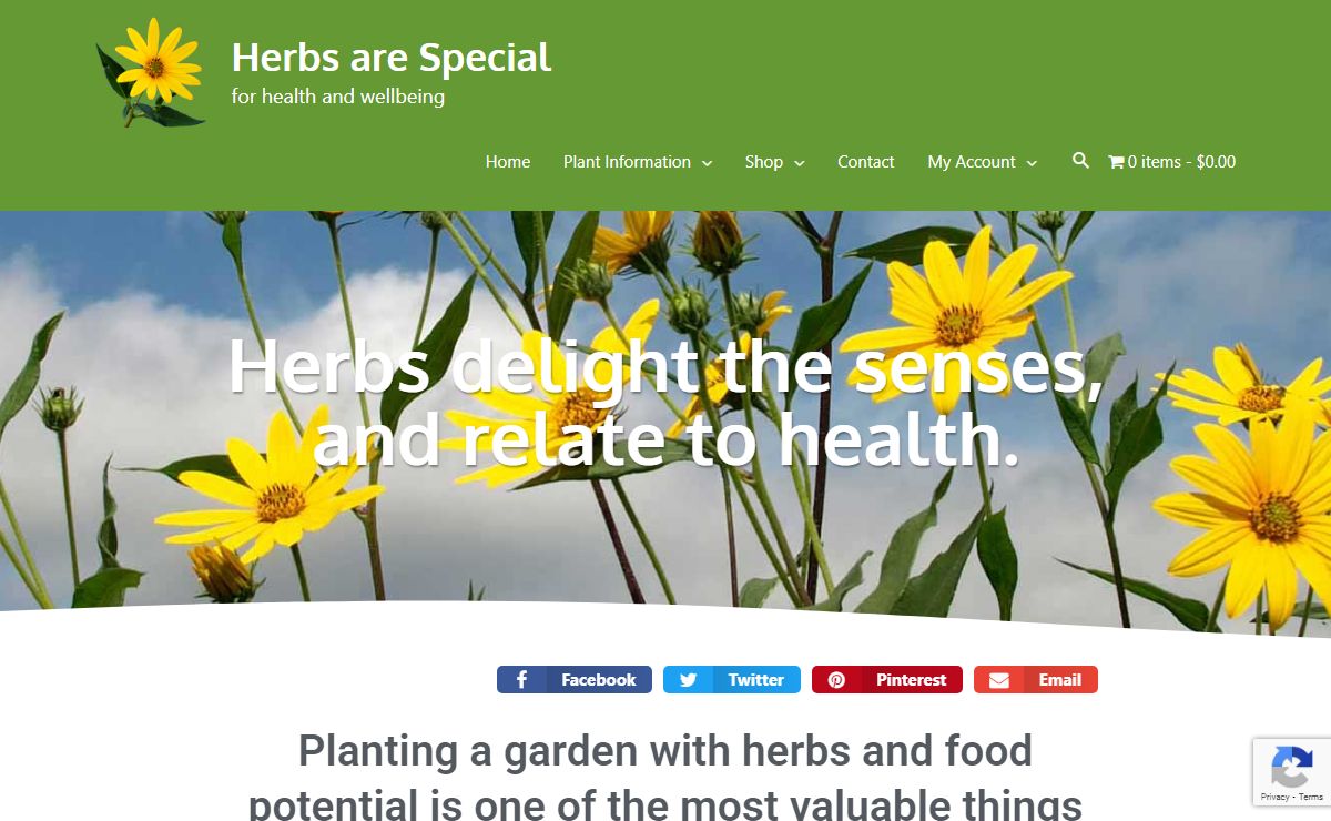 Herbs are Special – for health and wellbeing