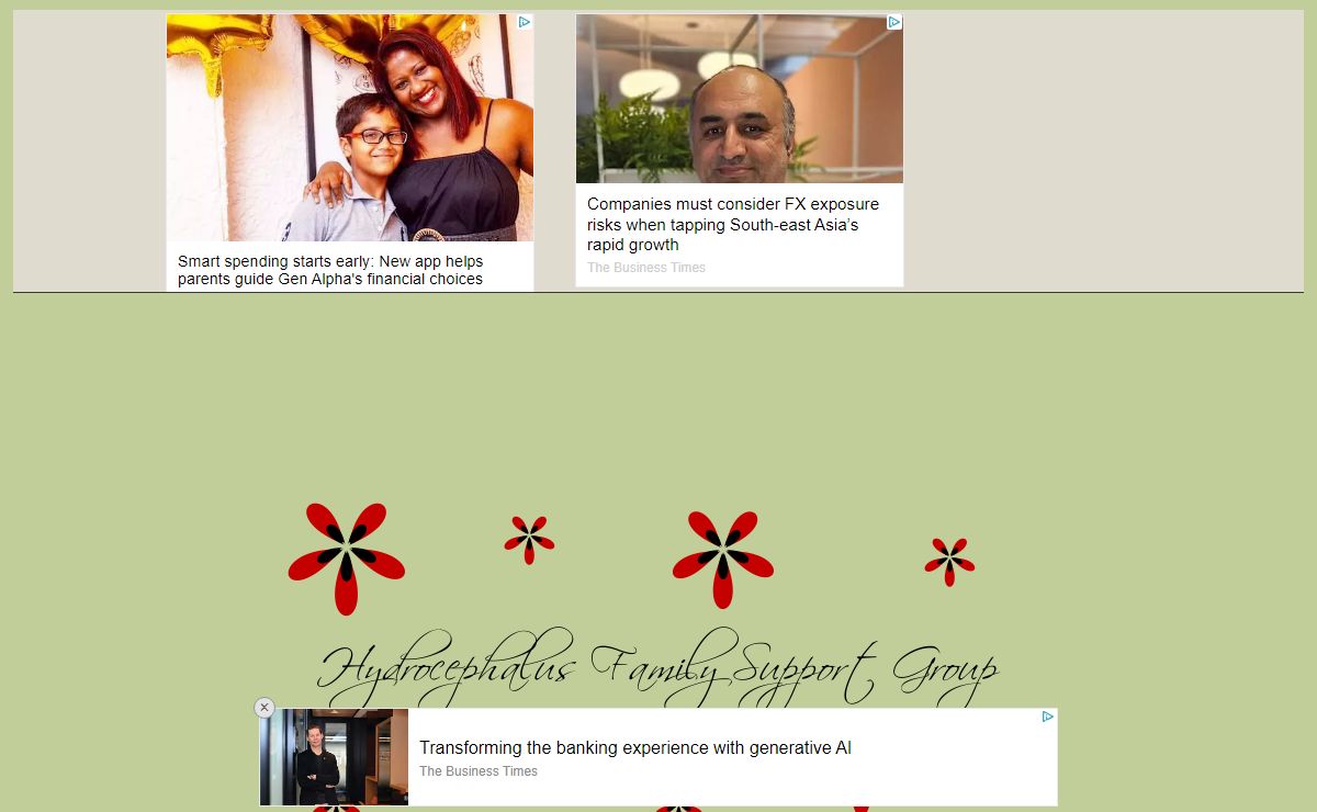 Hydrocephalus Family Support Group: Enter