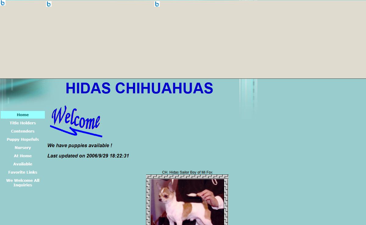 HIDAS CHIHUAHUAS
