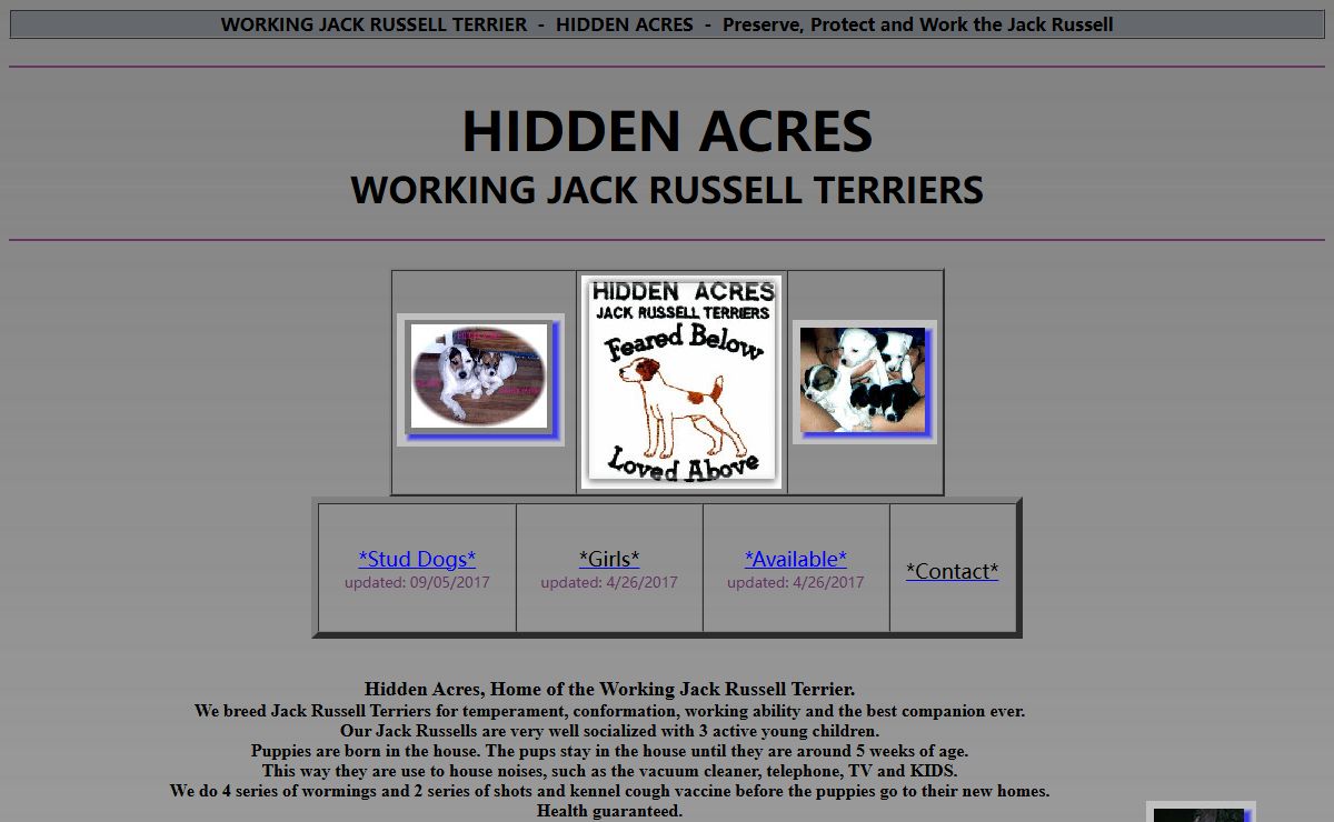 JACK RUSSELL TERRIER - HIDDEN ACRES JACK RUSSELL TERRIERS