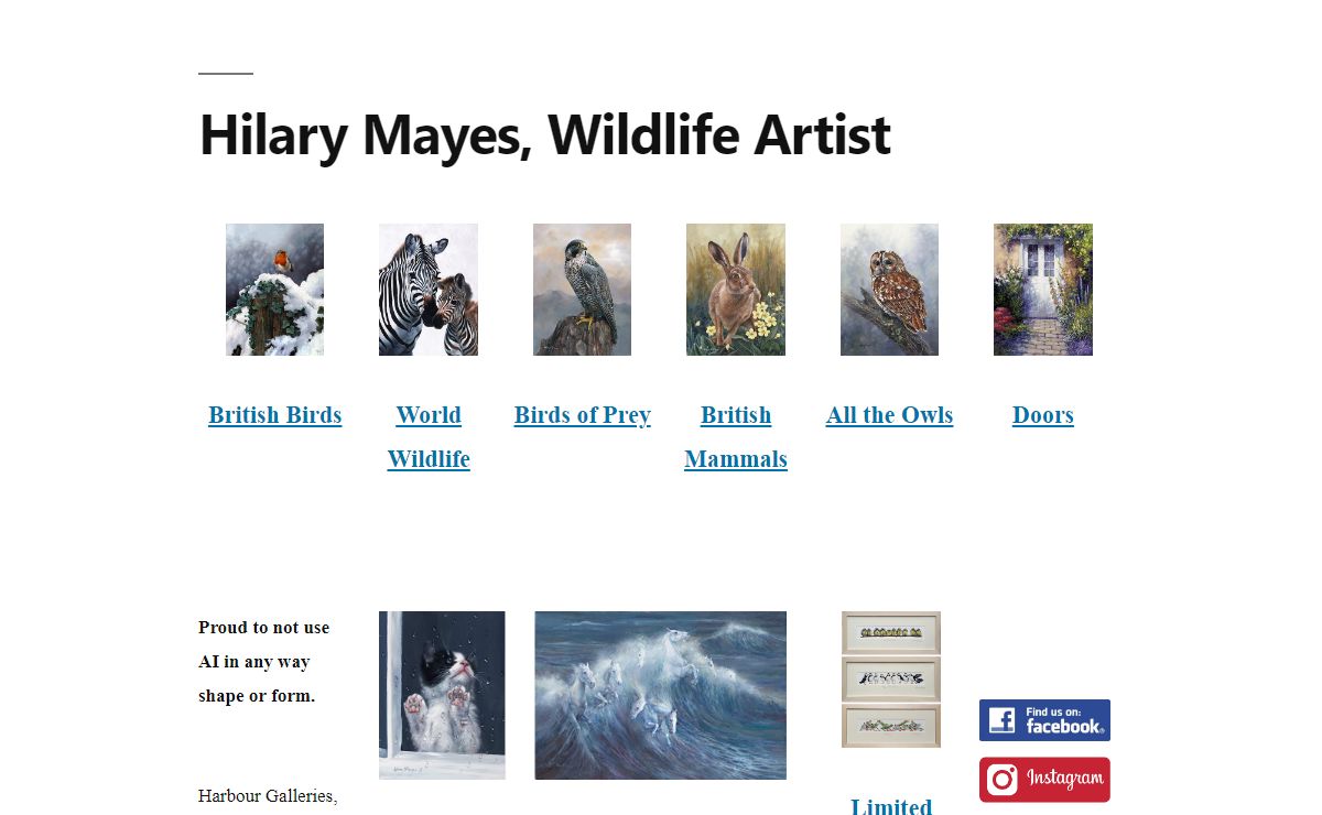 Hilary Mayes, Wildlife Artist