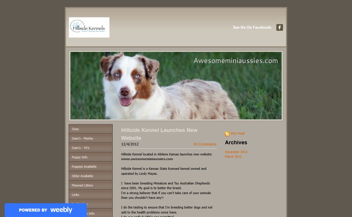 Hillside Kennels - Lindy Mayes - Hillside Blog