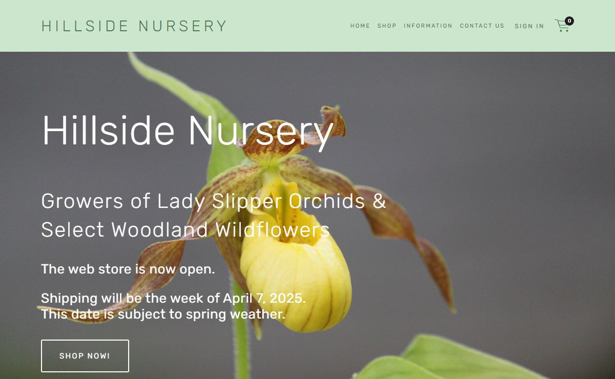Hillside Nursery Growers of Lady Slipper orchids and select woodland wildflowers