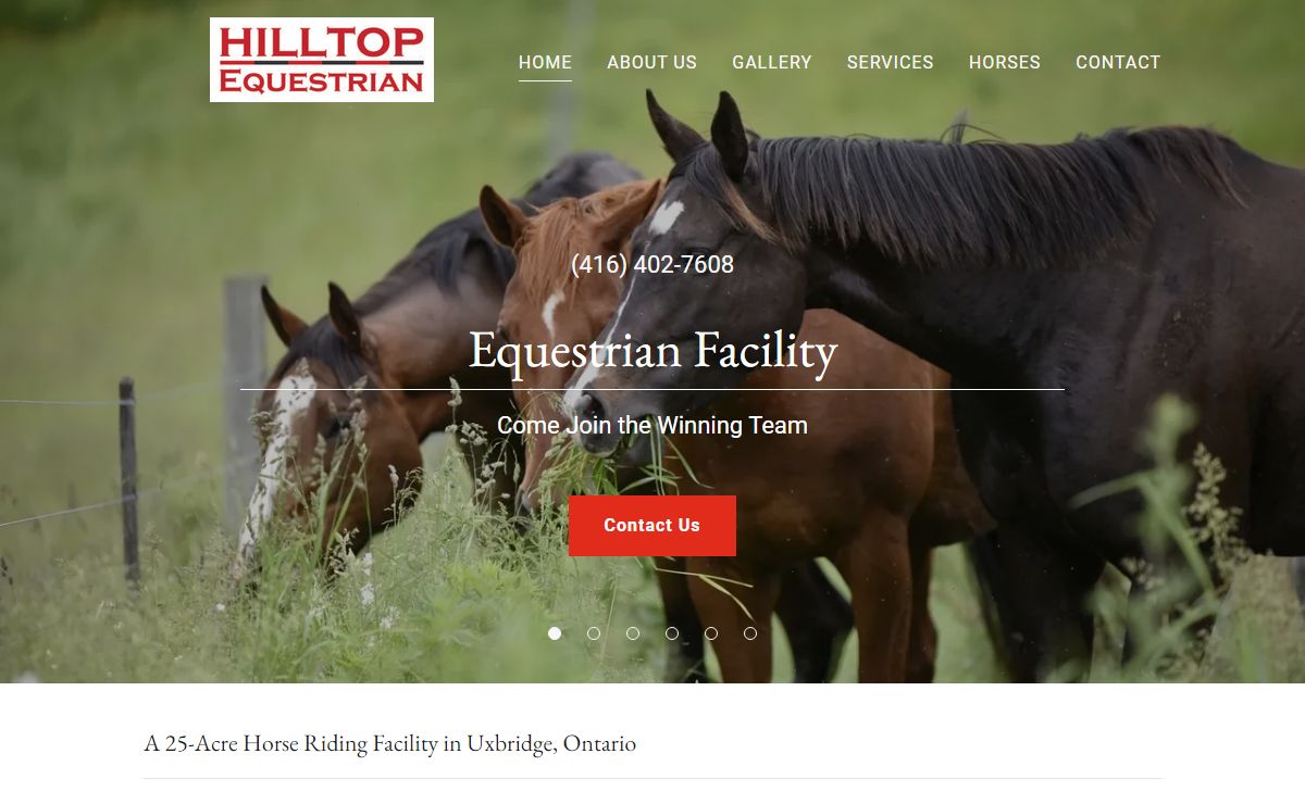 Hilltop Equestrian | Horses | Ontario