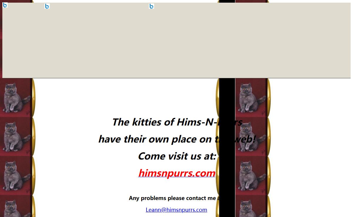 The kitties of Hims