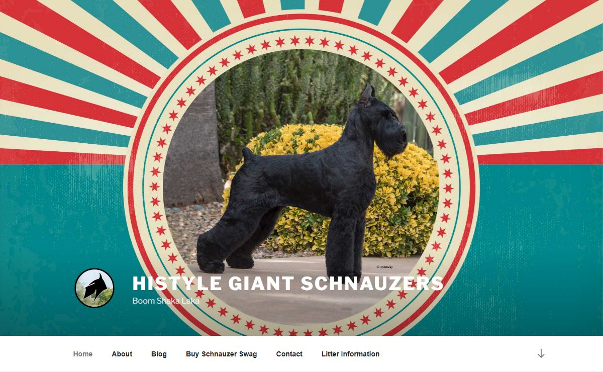HiStyle Giant Schnauzers – Boom Shaka Laka