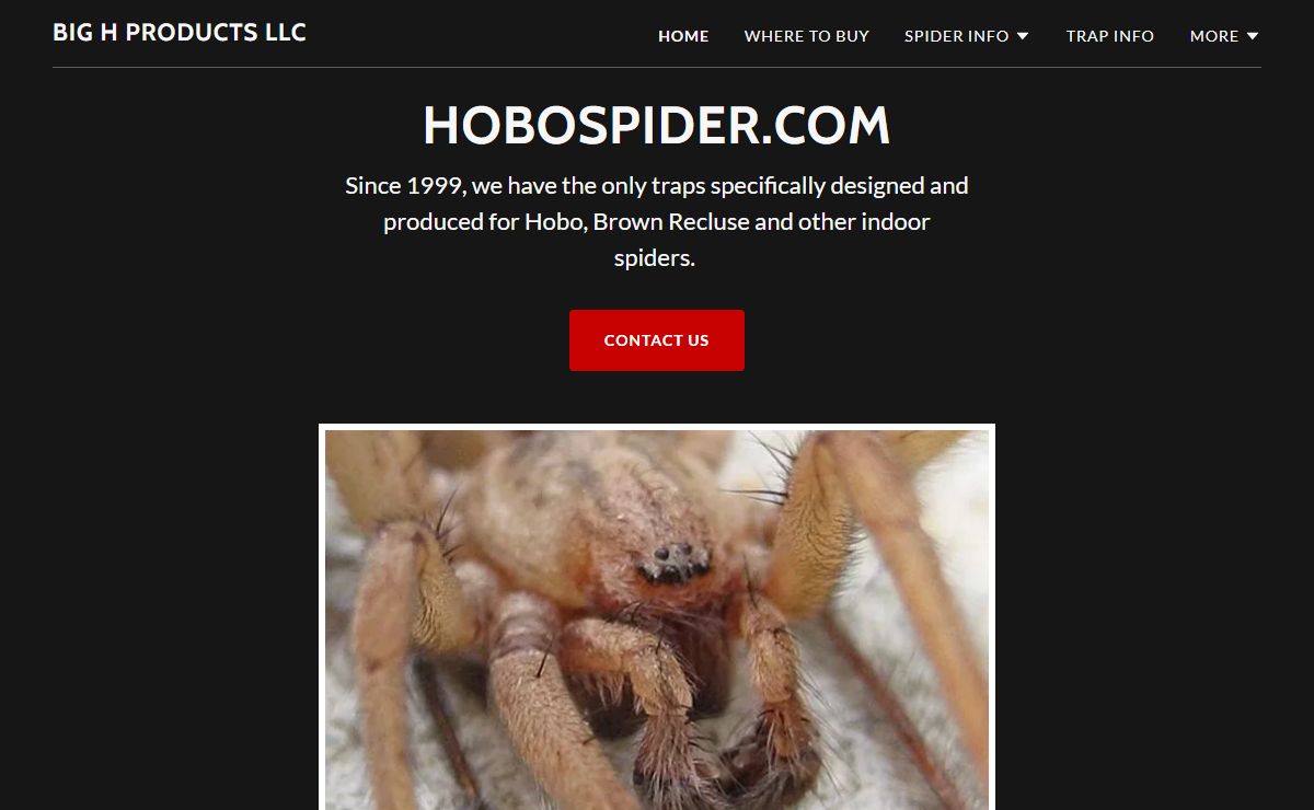 hobospider.com - Hobo Spider, Brown Recluse Spider, Hobo Spider Traps