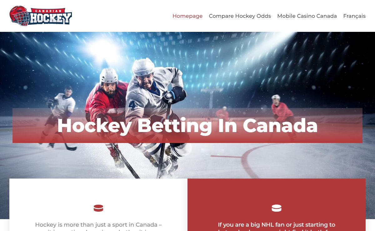 Hockey Betting In Canada 2021: Learn How To Bet On Hockey, NHL (ODDS)