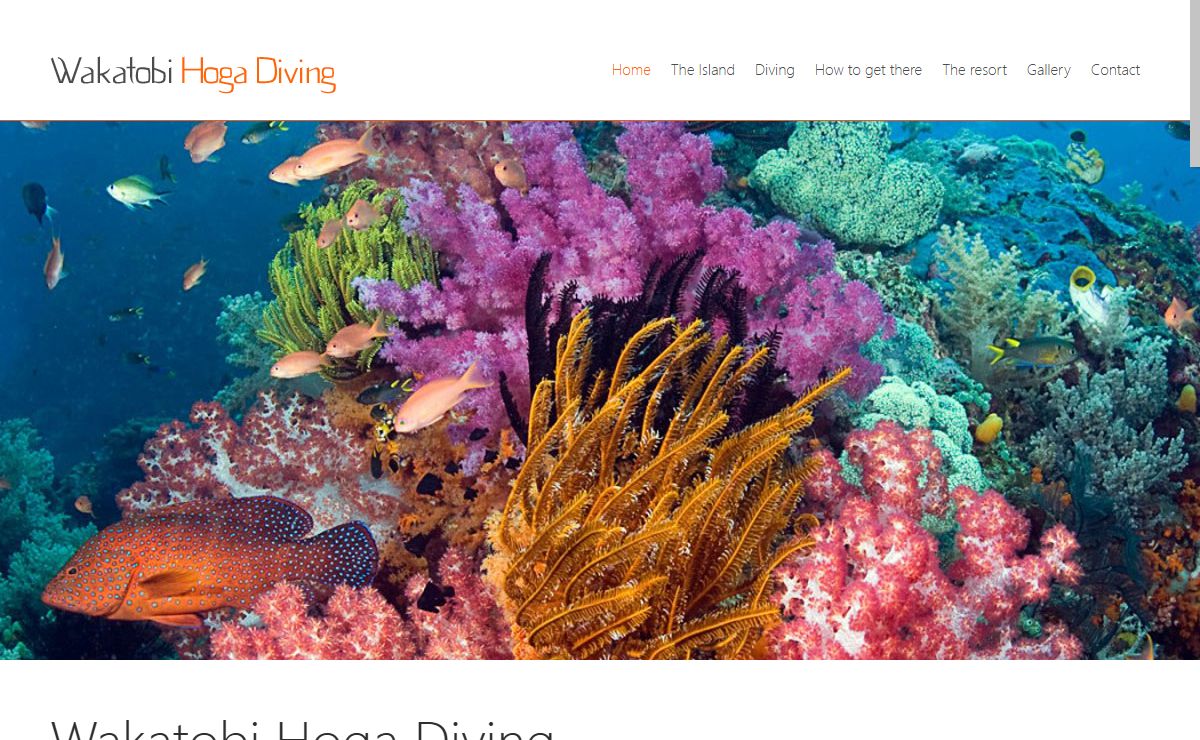 Wakatobi Hoga Diving | A little slice of heaven