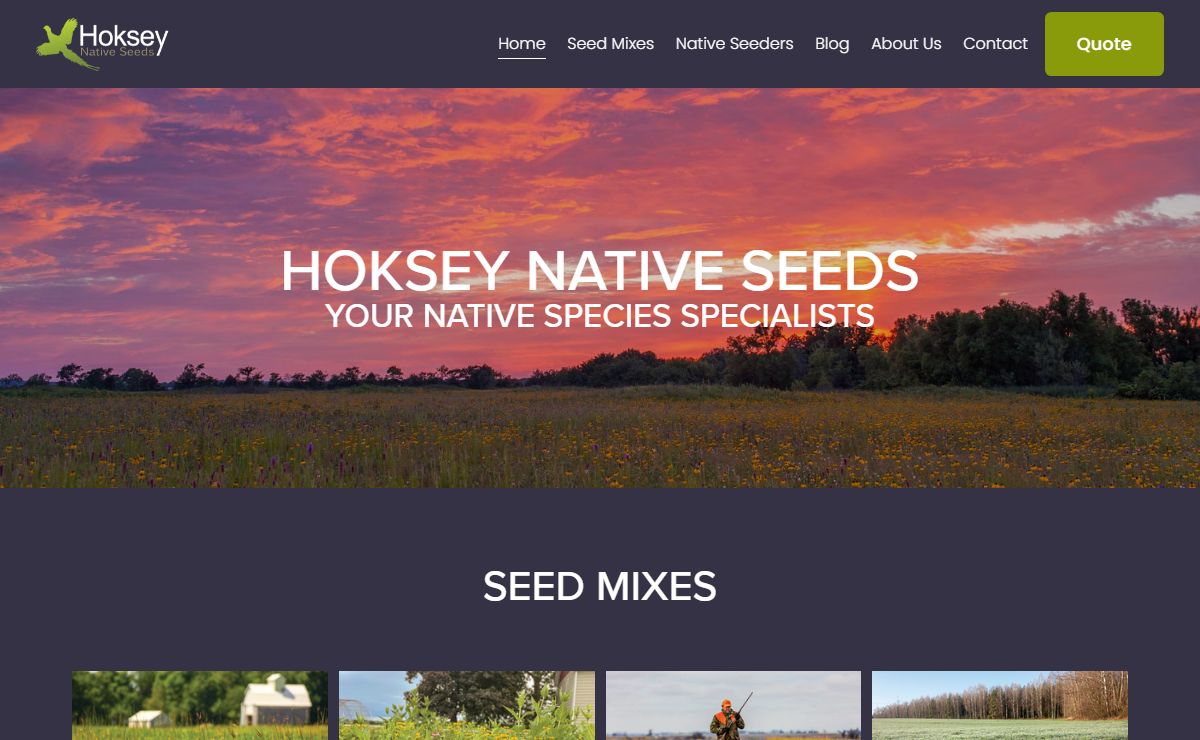 Hoksey Native Seeds