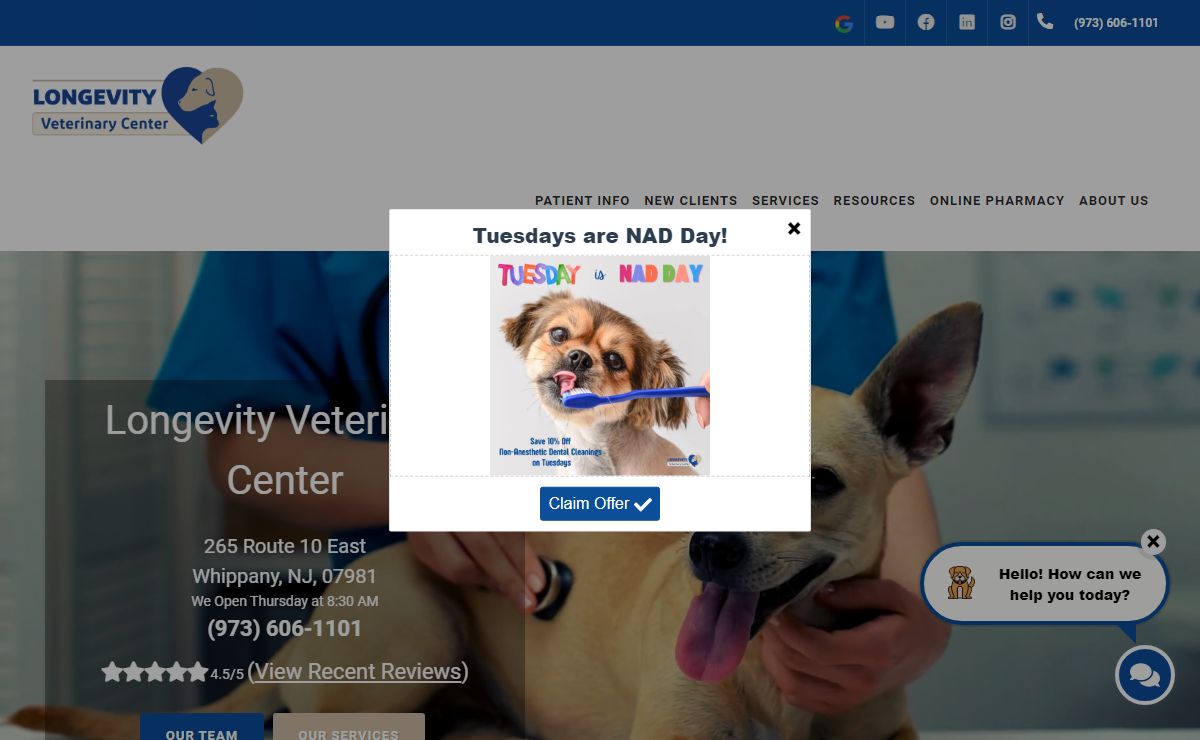 Holistic Veterinarians Whippany NJ - Longevity Veterinary Center