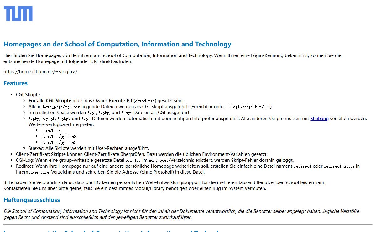 Home-Pages an der School of Computation, Information and Technology