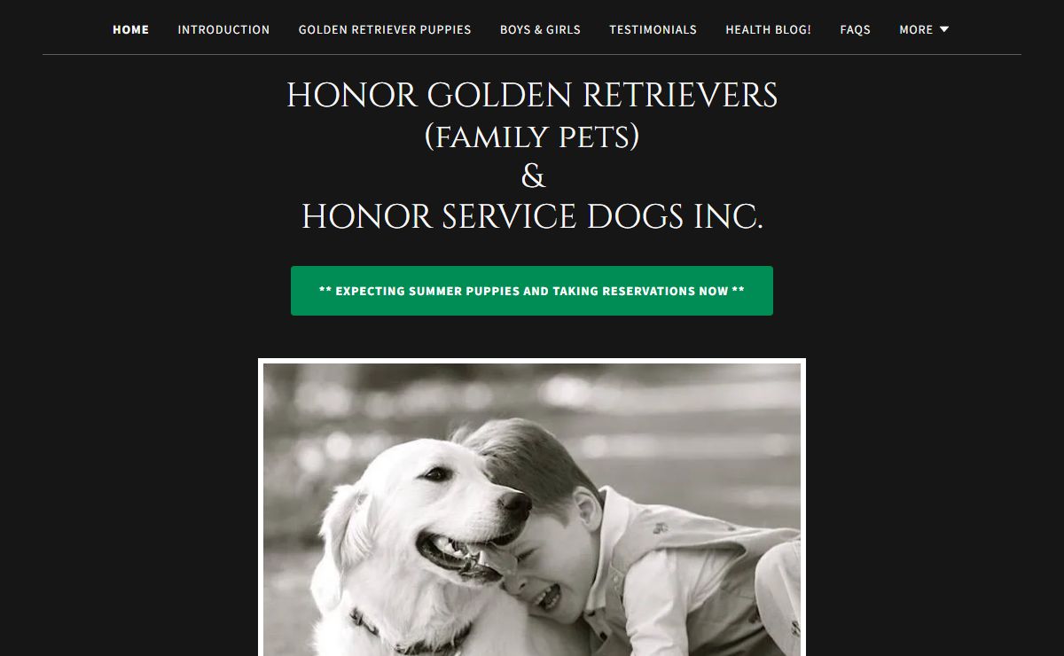 Golden Retrievers in North Carolina | Honor Service Dogs