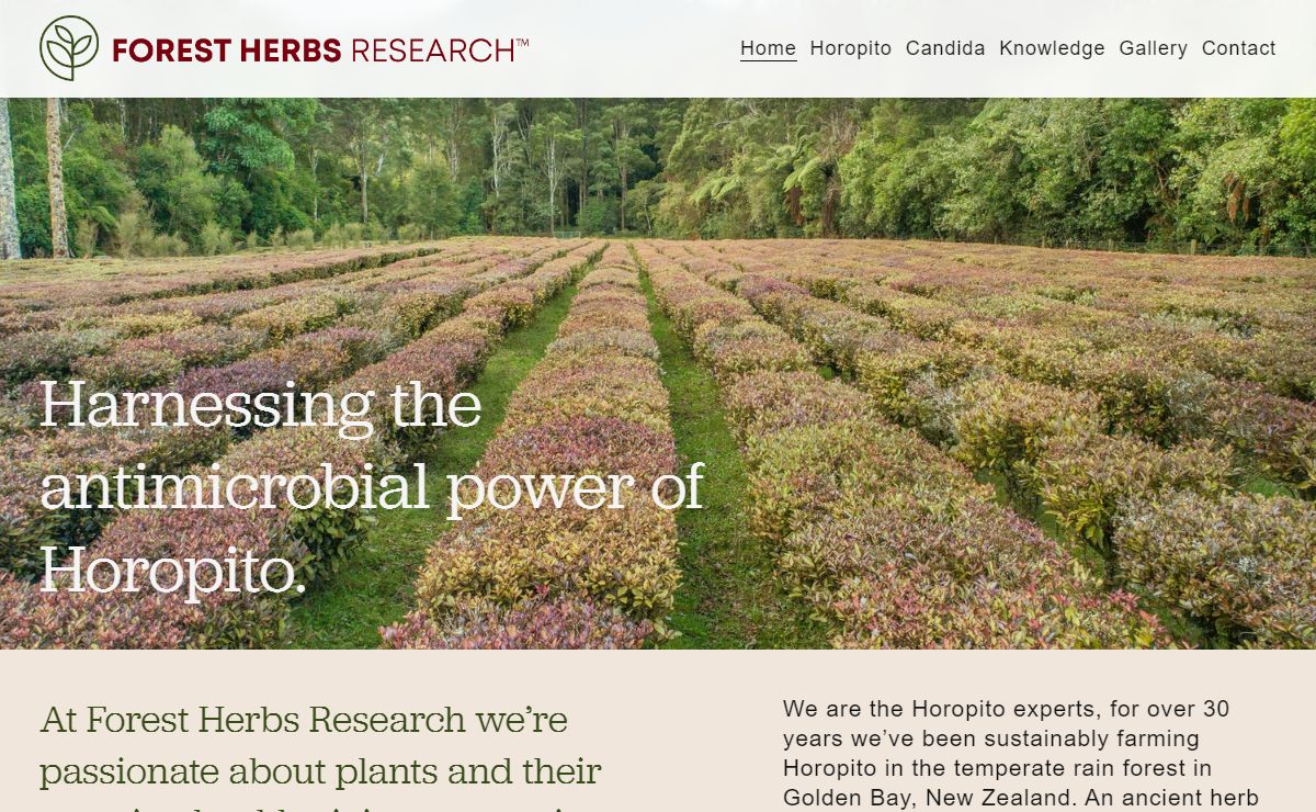 Horopito - Forest Herbs Research