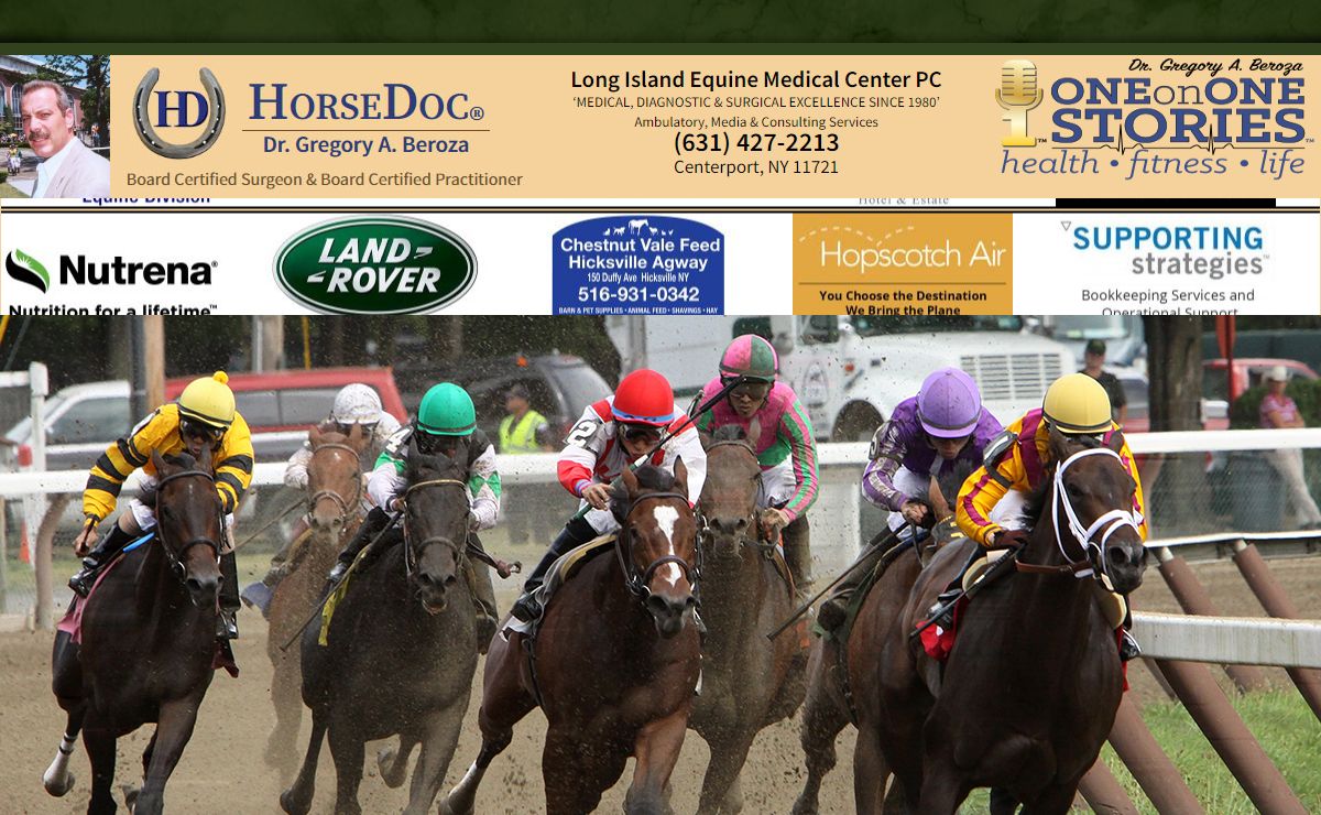 HorseDoc – Dr. Gregory A. Beroza