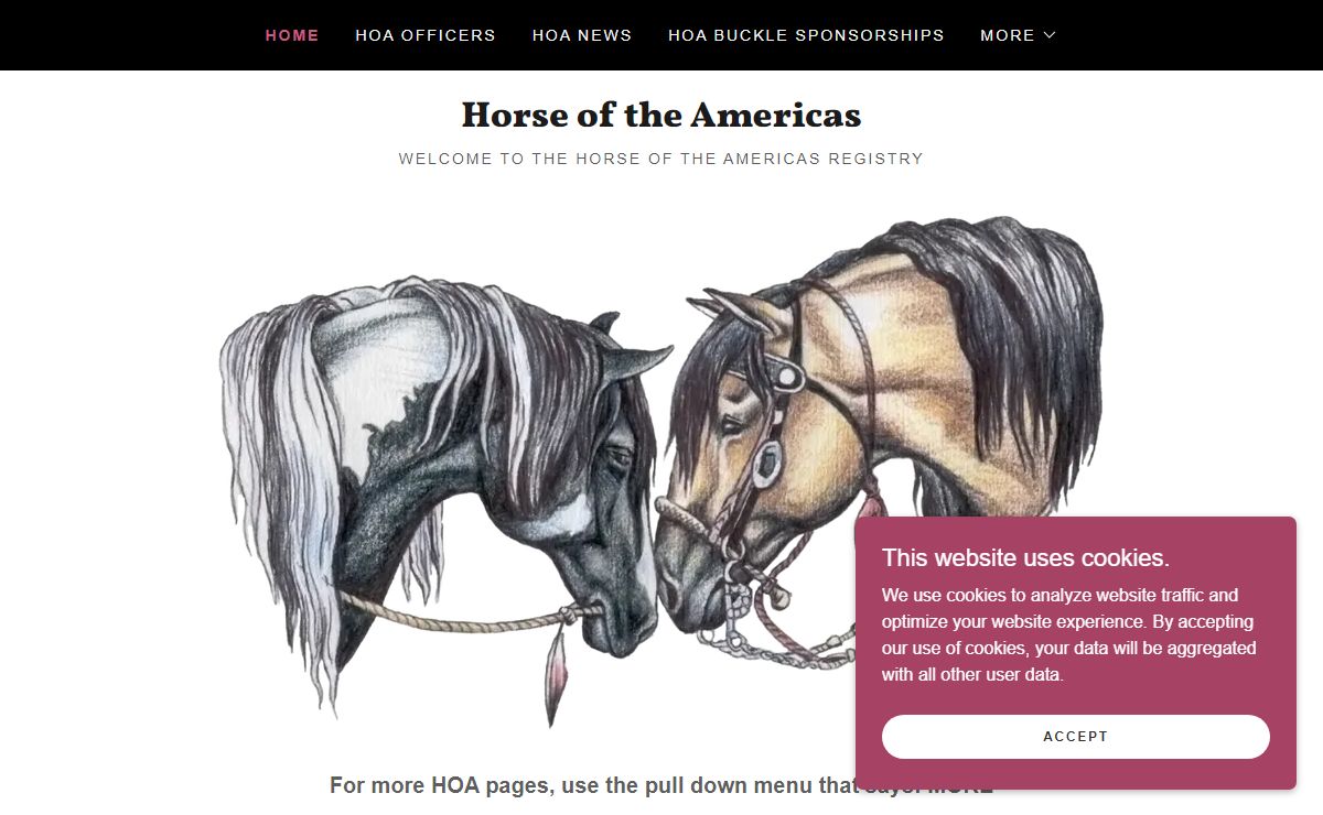 Horse of the Americas