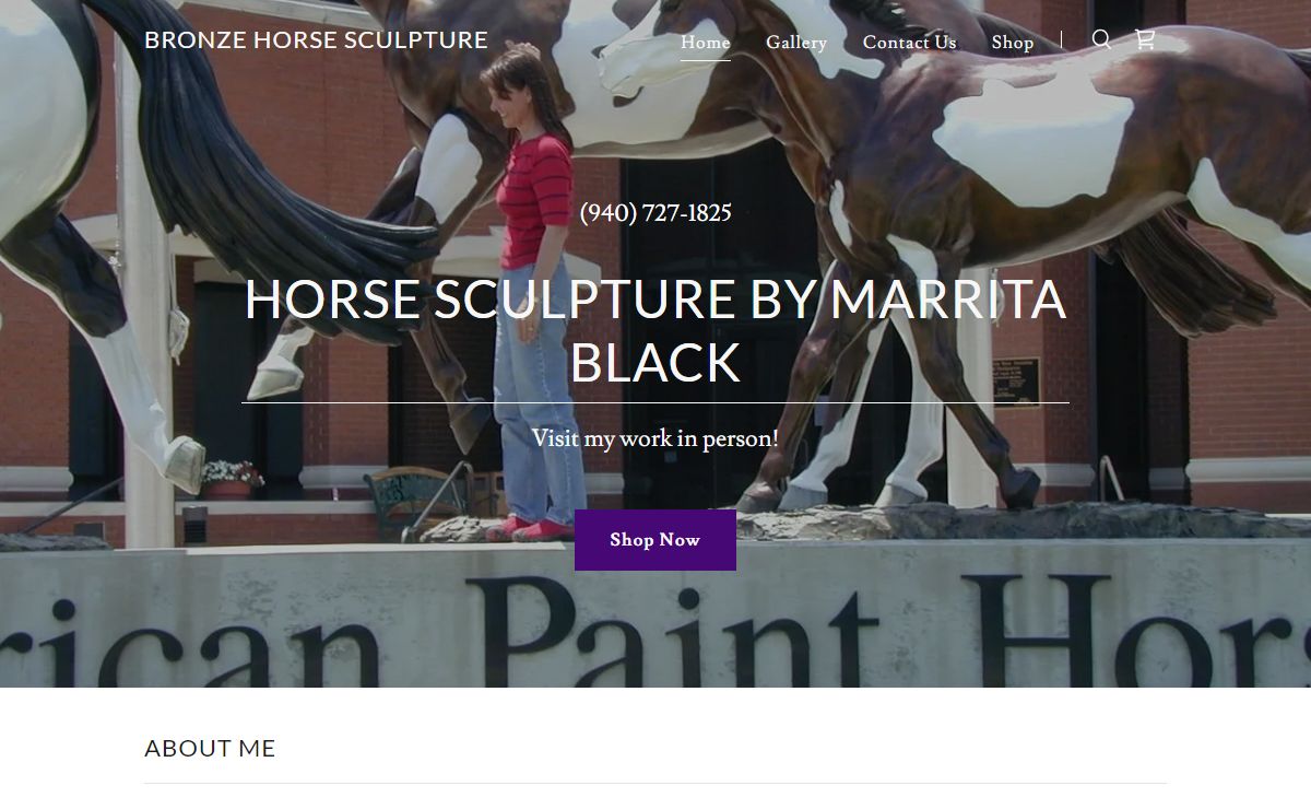 Bronze Horse Sculpture - Horse Sculpture, Artist, Bronze