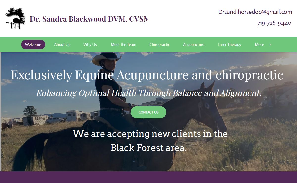 Exclusively Equine Dentistry and Chiropractic - Home