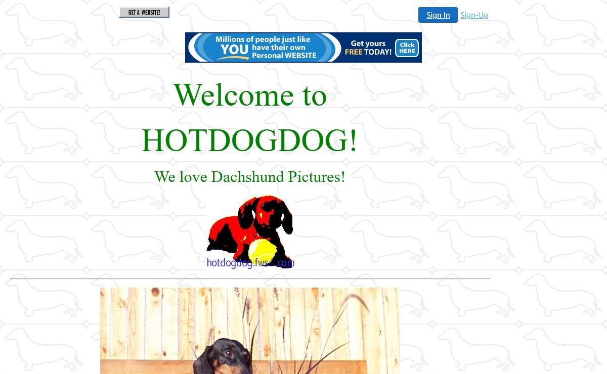 Dachshund Pictures - hotdogdog Home