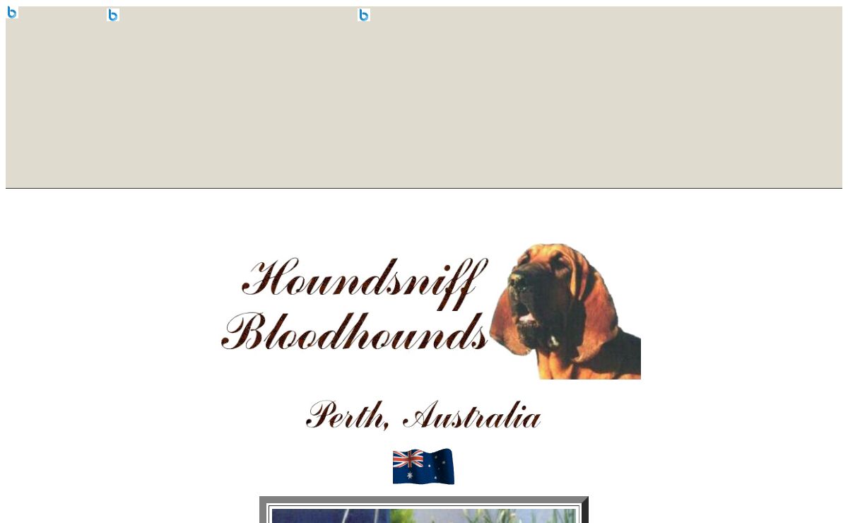 Houndsniff Bloodhounds from Perth, Austrailia