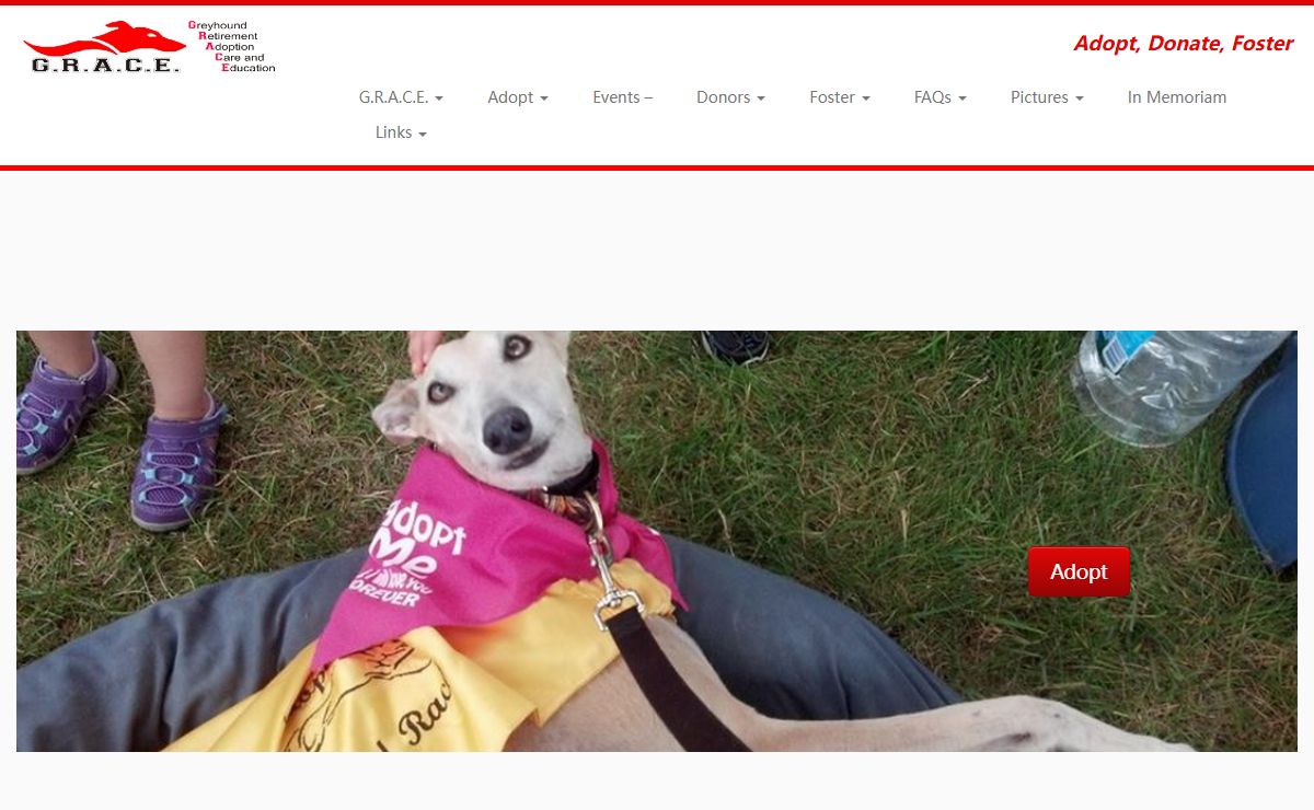 G.R.A.C.E. – Adopt, Donate, Foster
