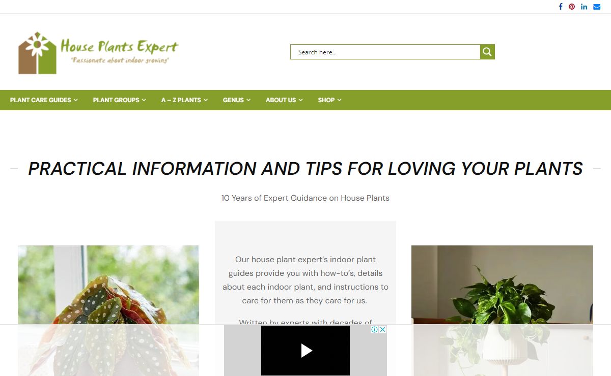 Guides & tips for many indoor House-Plant types - House Plants Expert