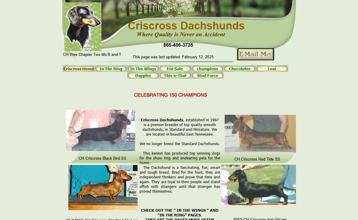 Criscross Dachshunds, Quality