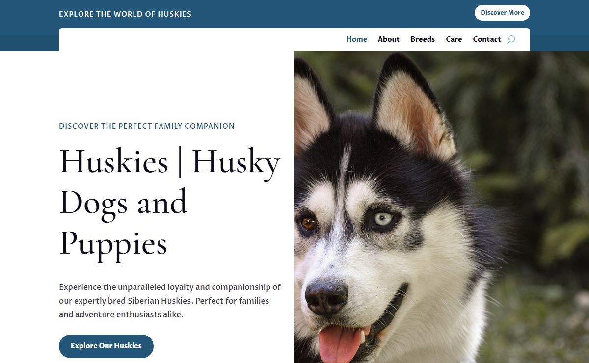 Huskies – Huskies | Husky Dogs and Puppies