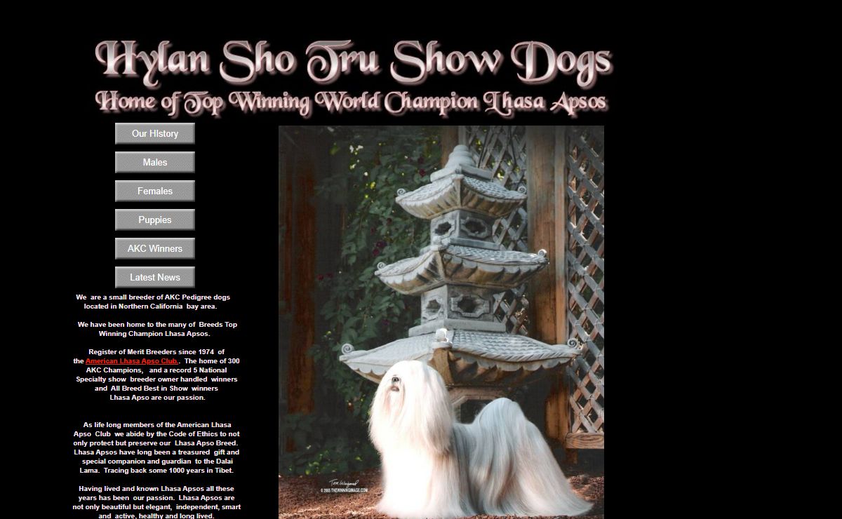 Hylan ShoTru Lhasa Apso