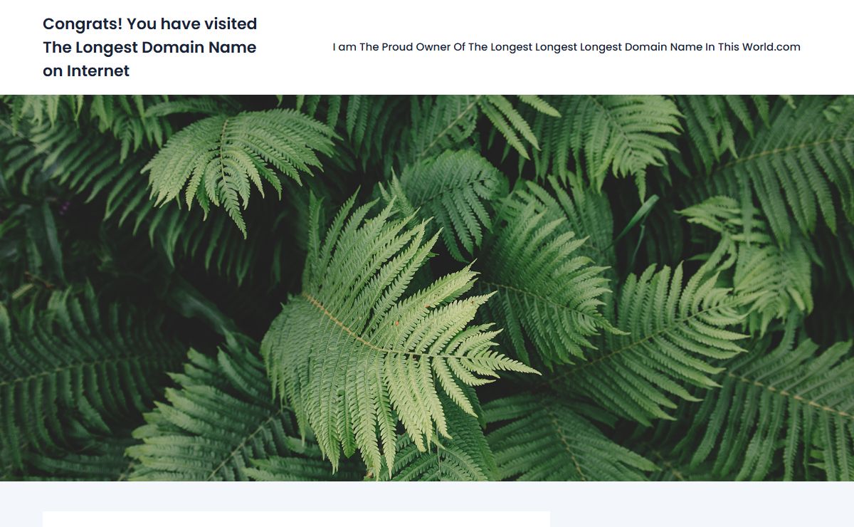 Congrats! You have visited The Longest Domain Name on Internet – The Longest Domain Name on Internet