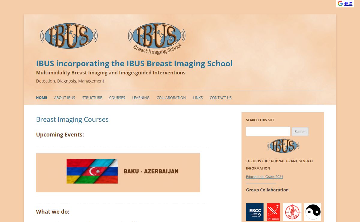 IBUS incorporating the IBUS Breast Imaging School | Multimodality Breast Imaging and Image-guided Interventions
