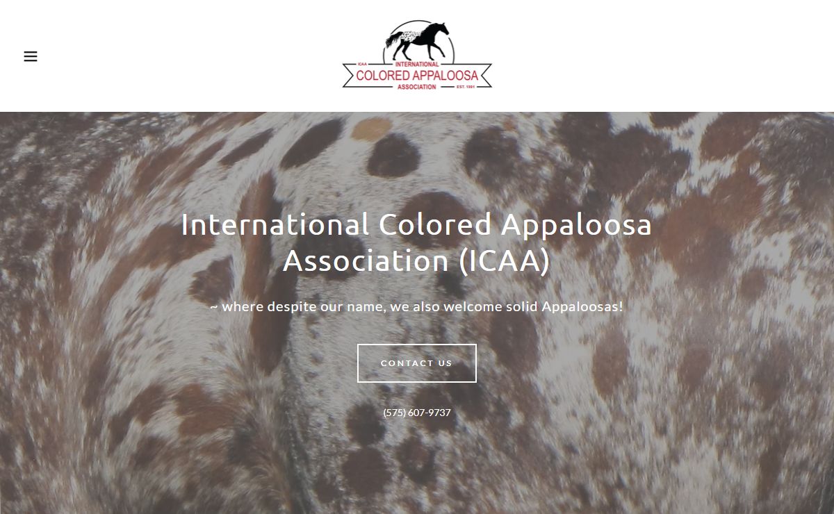 International Colored Appaloosa Association, Inc - Home