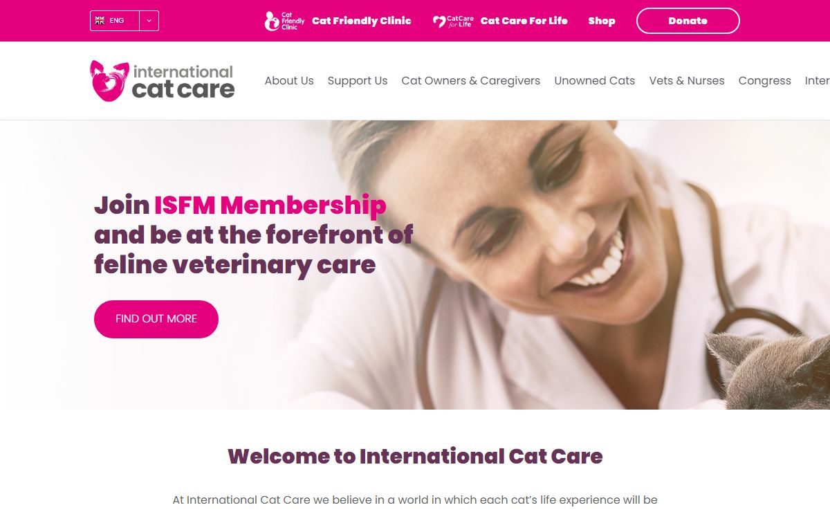 International Cat Care | For the love of cats