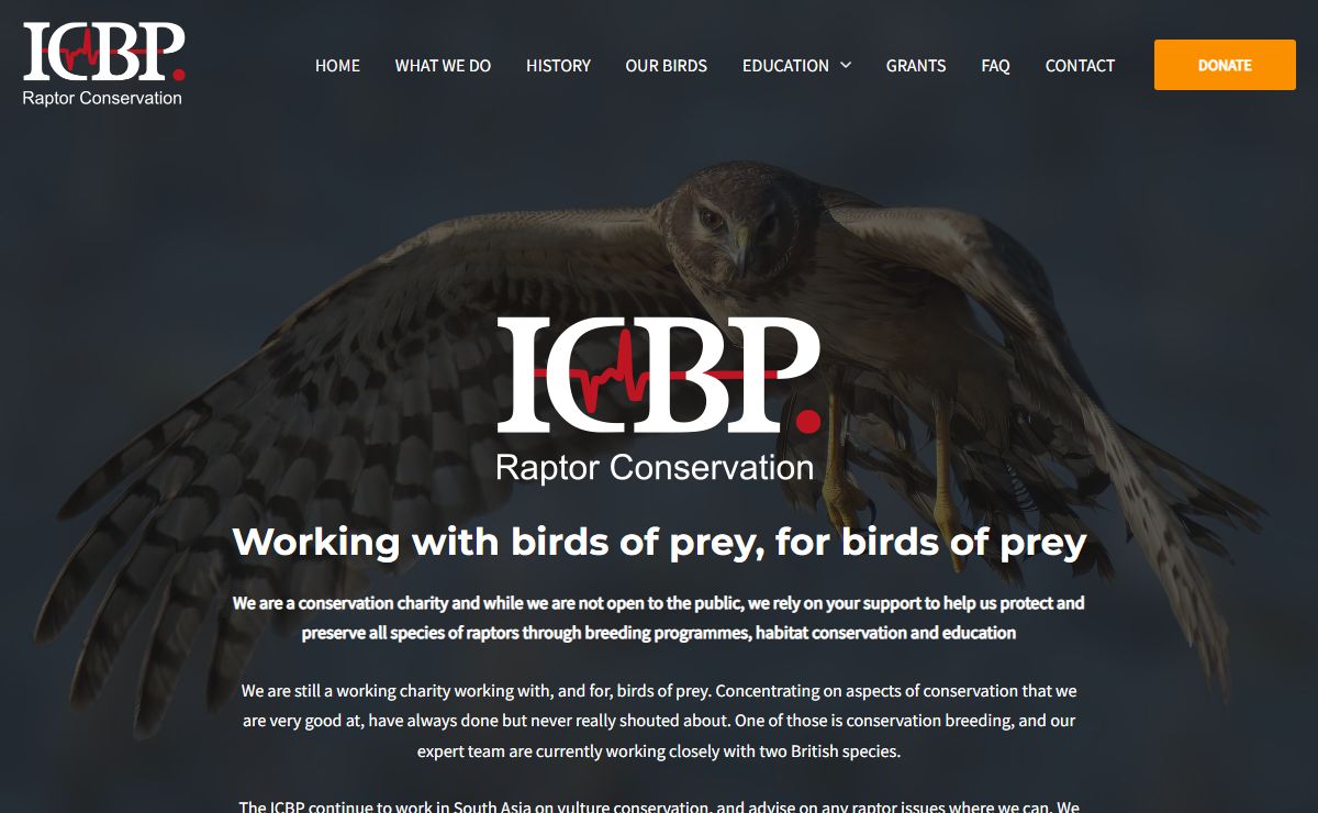 ICBP – Raptor conservation