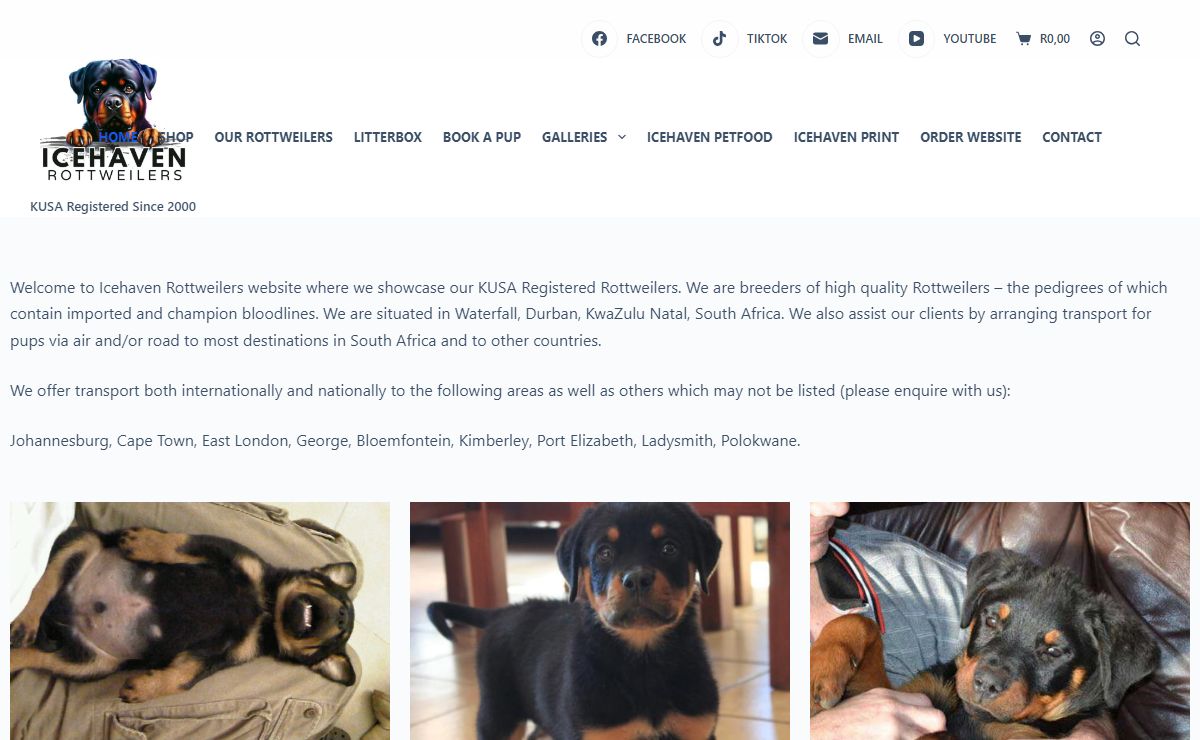 Icehaven Rottweilers – Icehaven Rottweilers (Breeding since 2000)