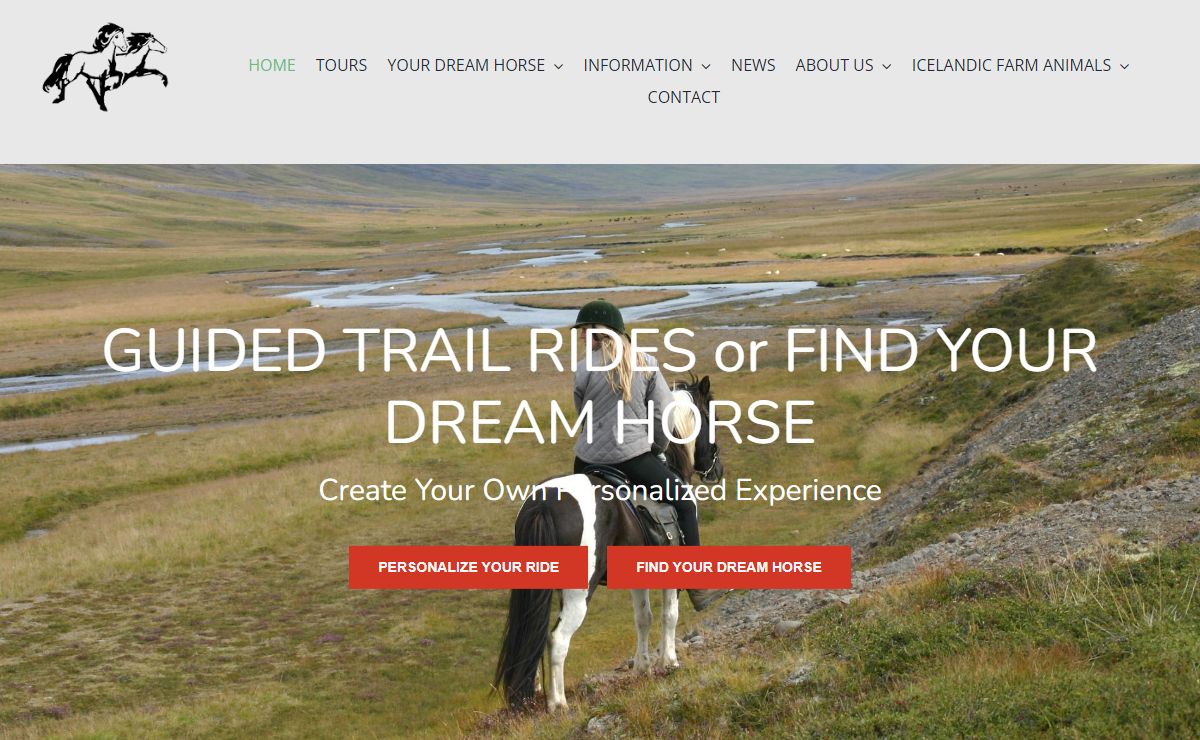 Langhus farm - Horse tours - finding your dream horse