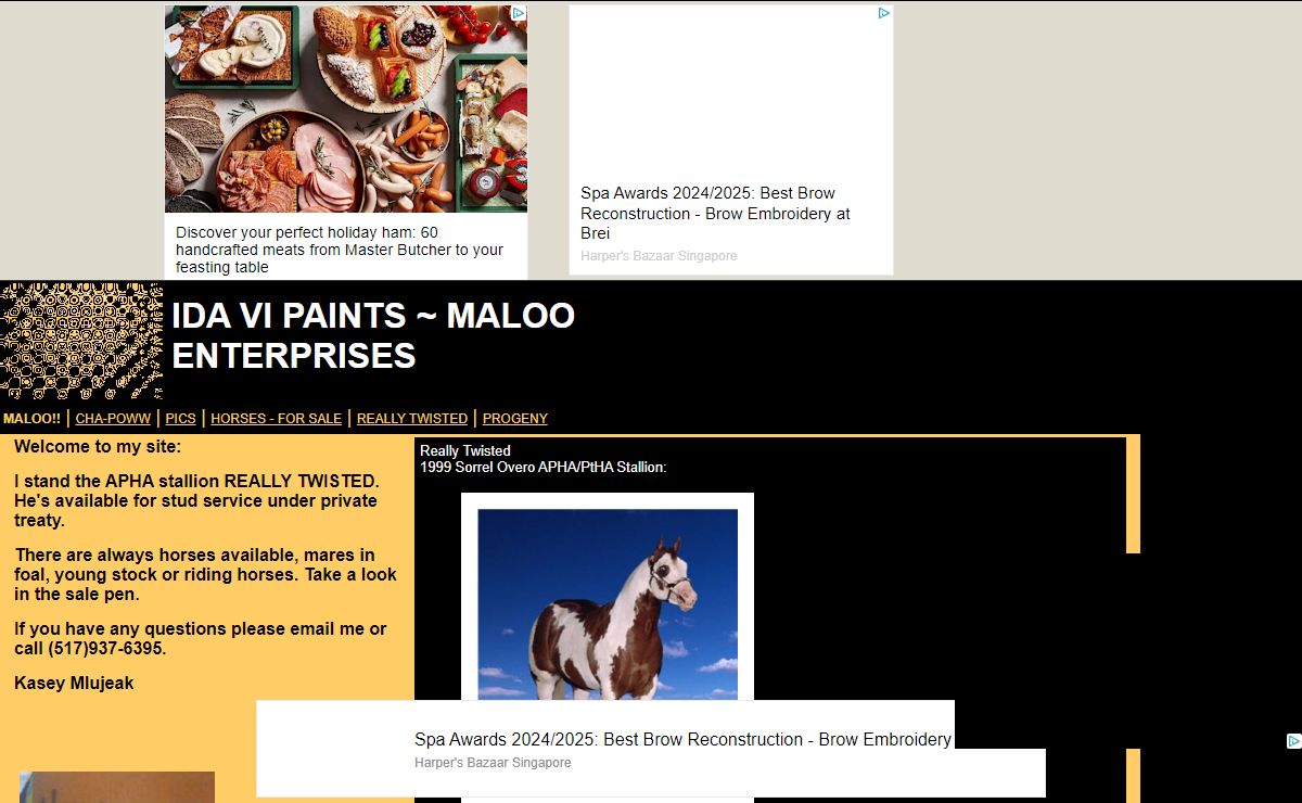 IDA VI PAINTS ~ MALOO ENTERPRISES