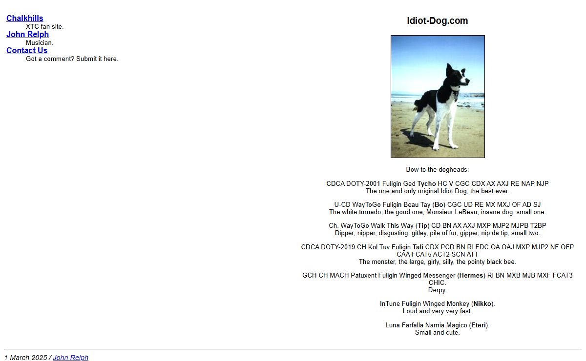Idiot-Dog