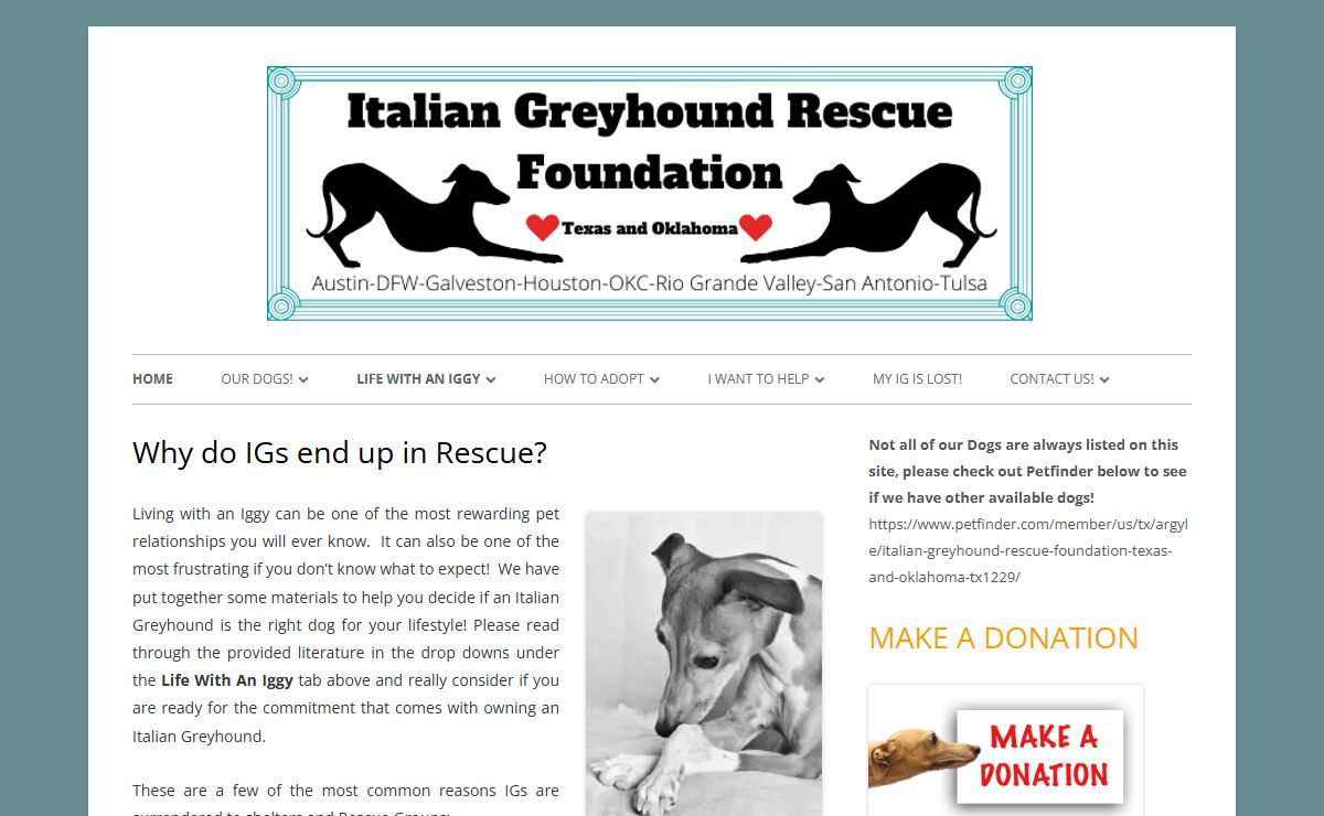 Italian Greyhound Rescue Foundation of Texas and Okalahoma