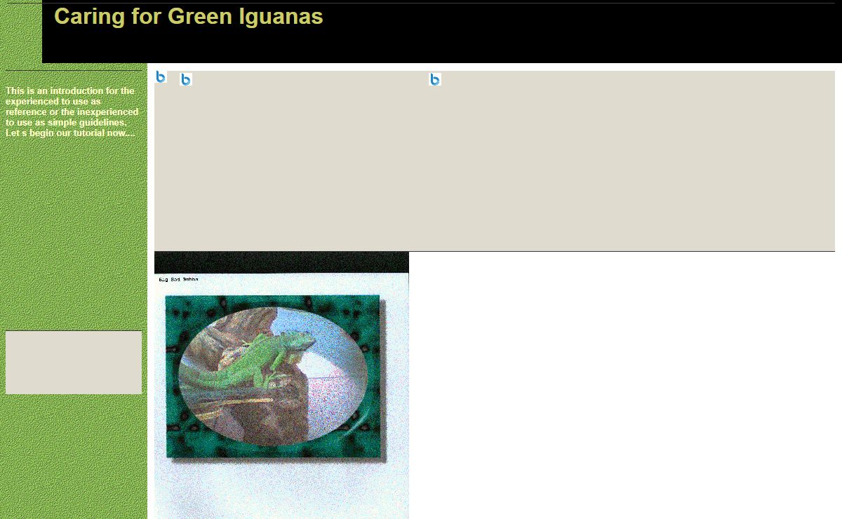 Caring for Green Iguanas