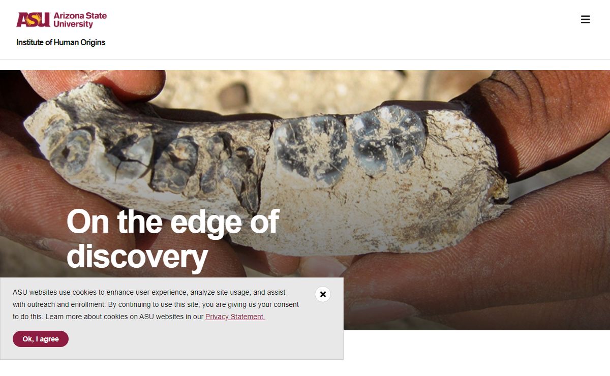 Home page | Institute of Human Origins
