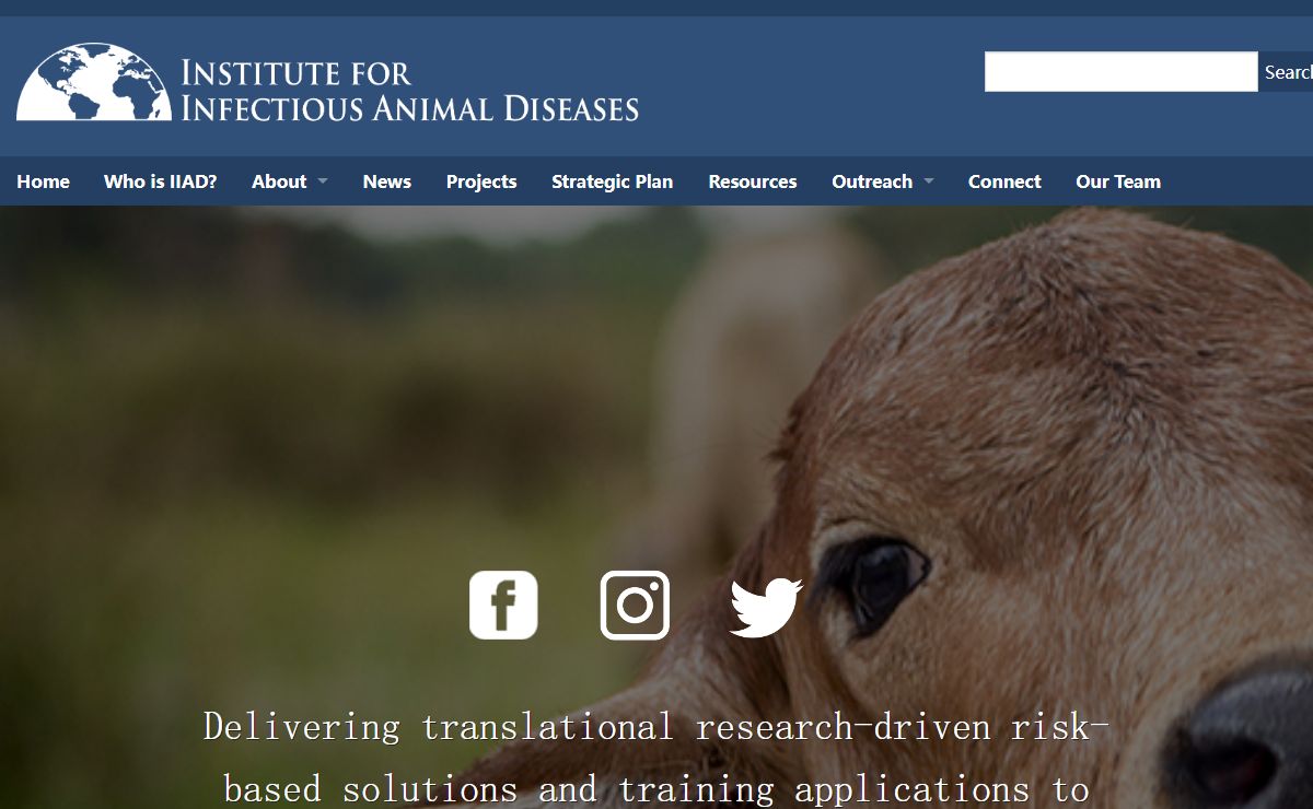 Institute for Infectious Animal Diseases -